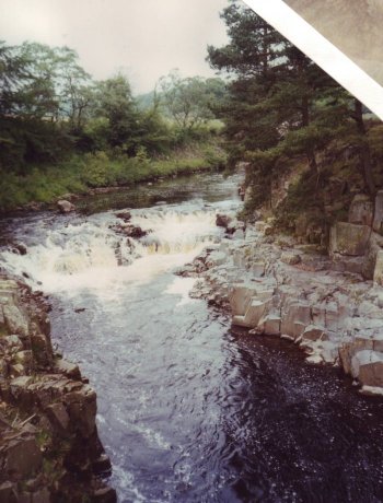 Low Force 1997